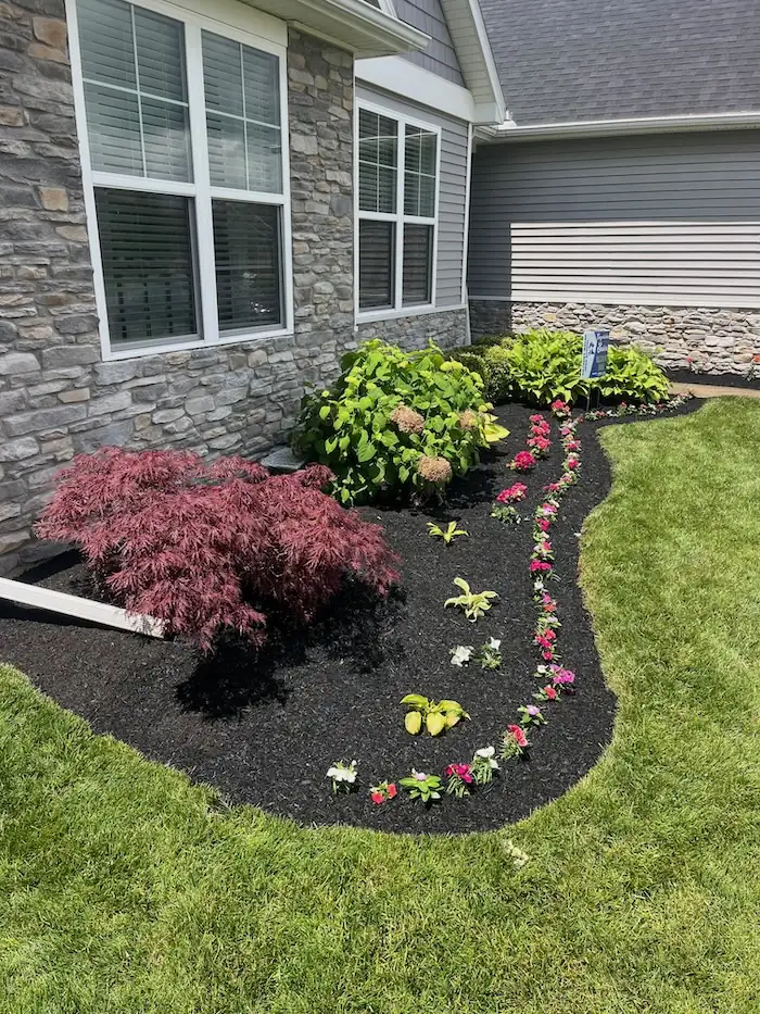 landscaping image
