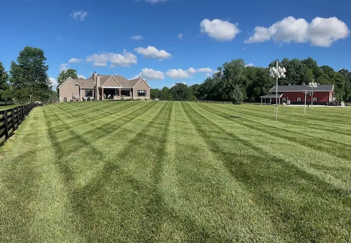 landscaping image