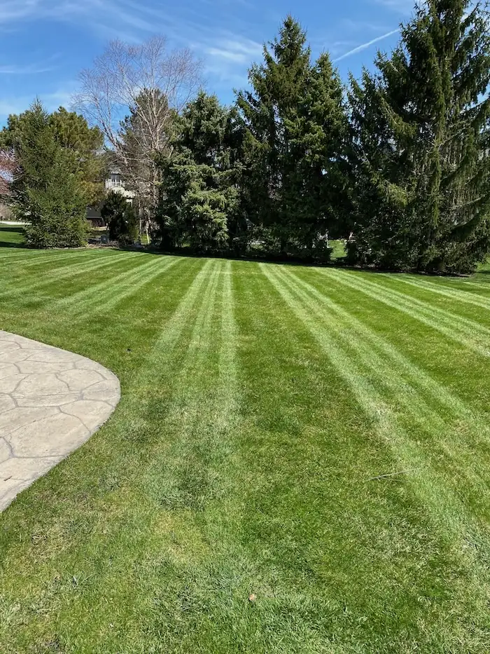 landscaping image