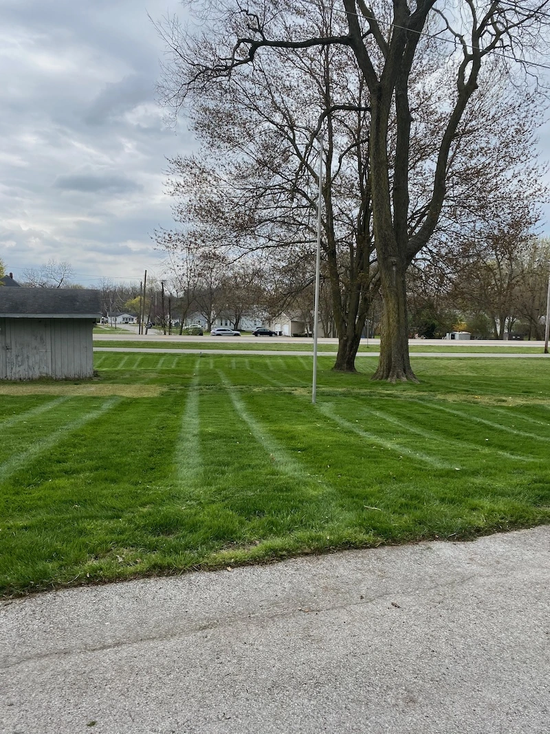 landscaping image