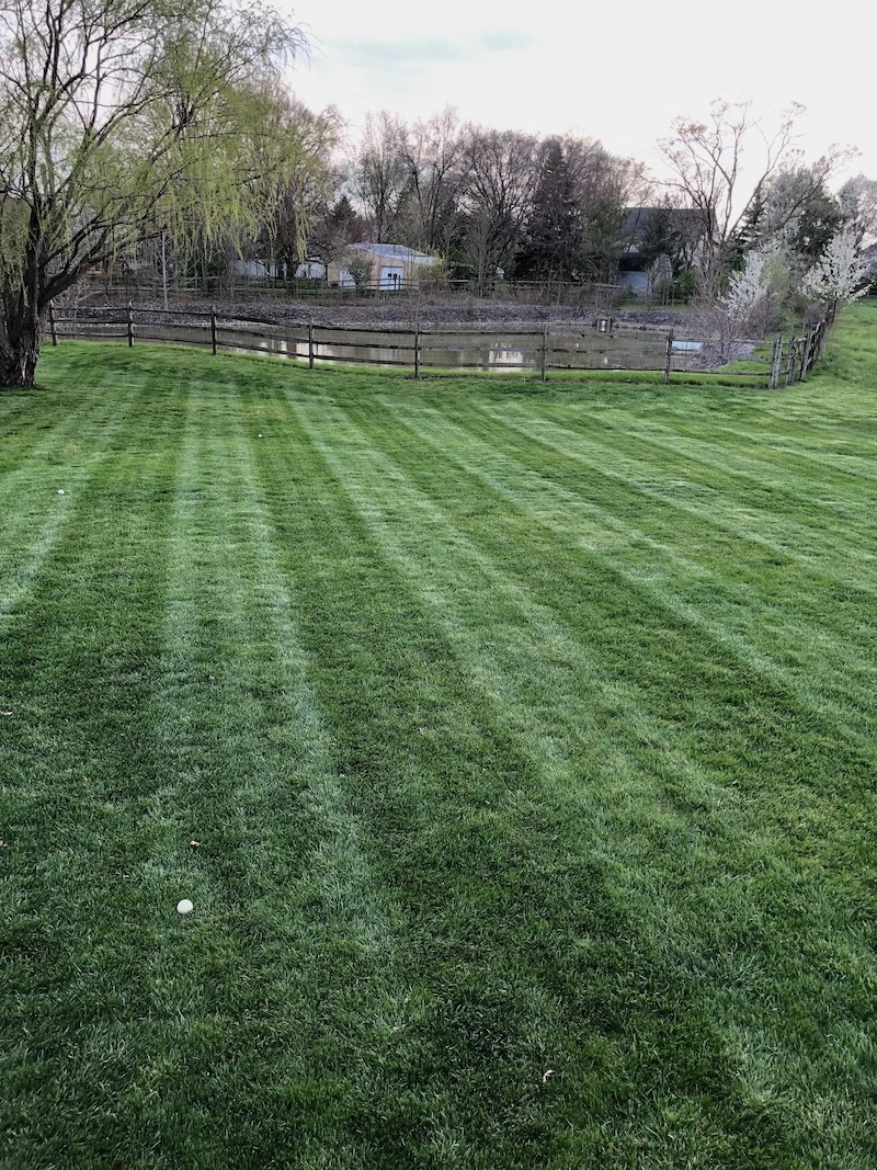 landscaping image