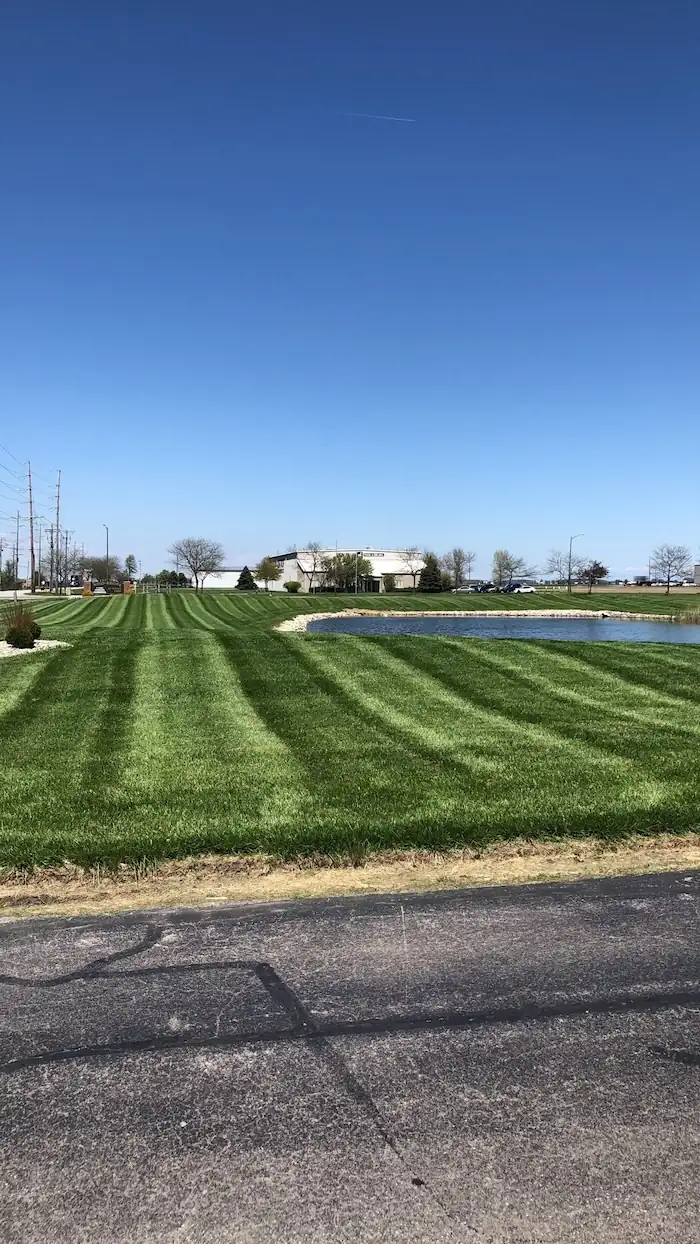landscaping image
