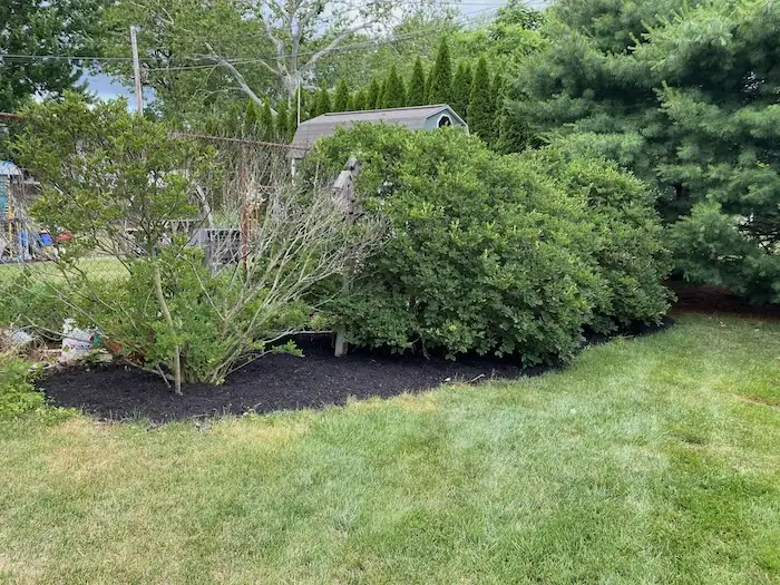 landscaping image