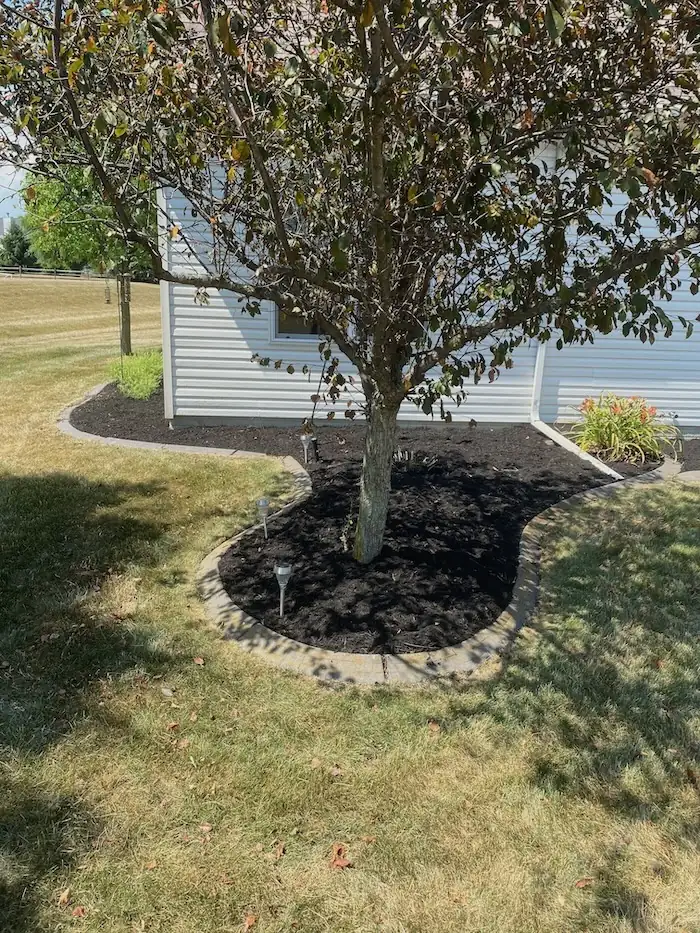 landscaping image