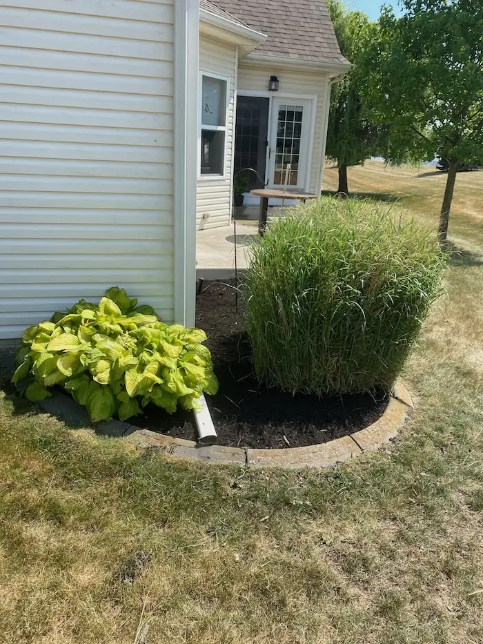 landscaping image