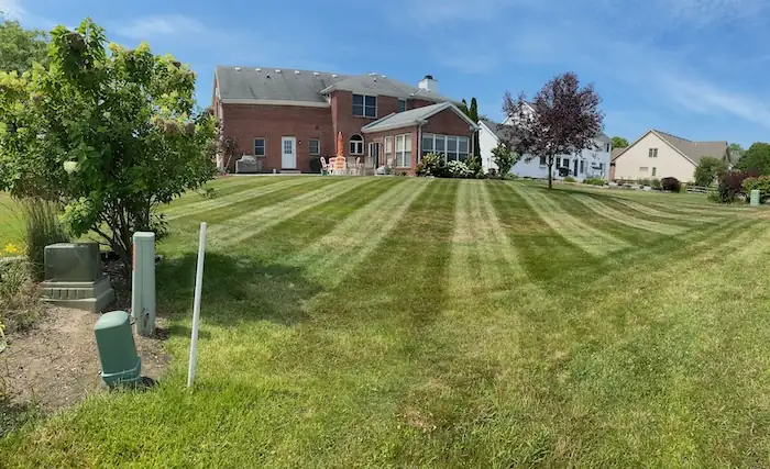 landscaping image