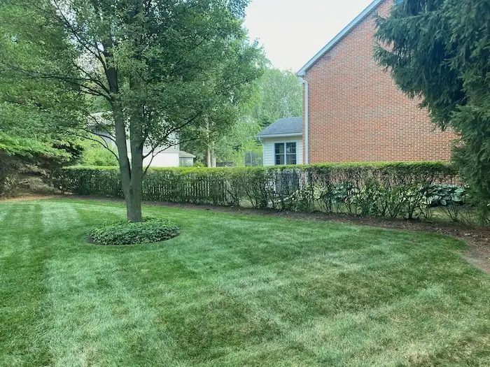 landscaping image