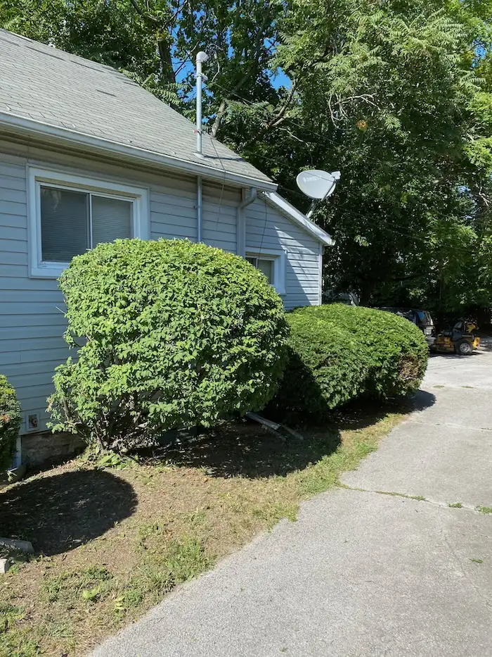 landscaping image