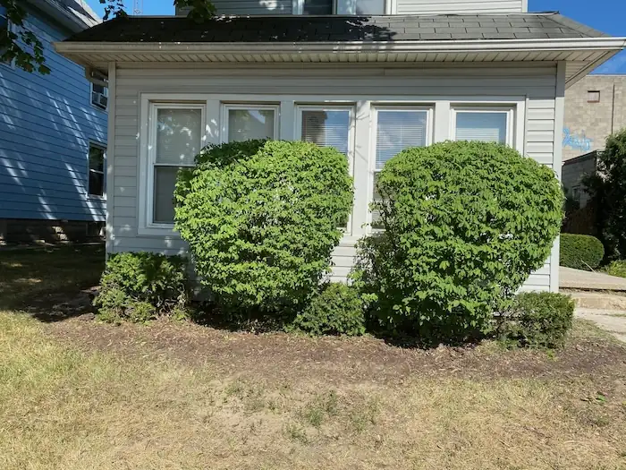 landscaping image