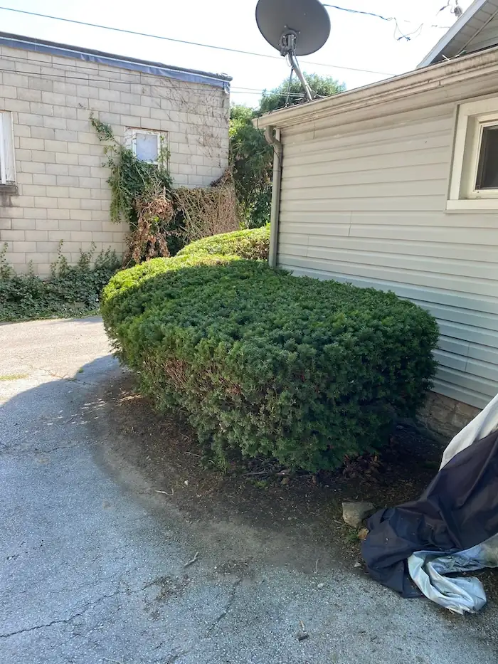 landscaping image