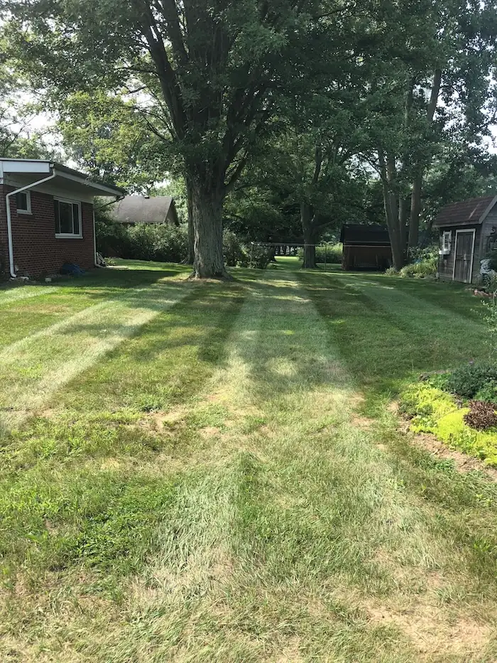 landscaping image