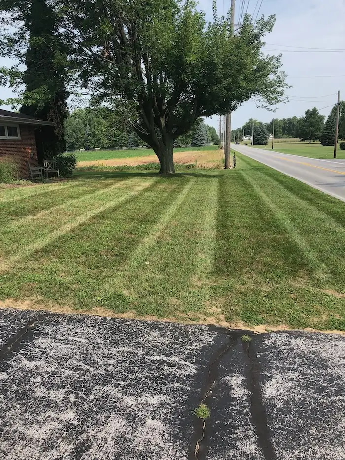 landscaping image