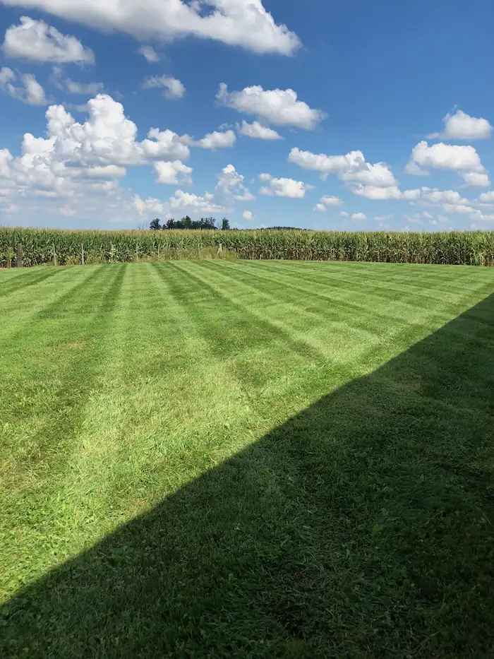 lawn mowing image
