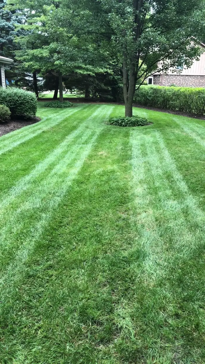 landscaping image