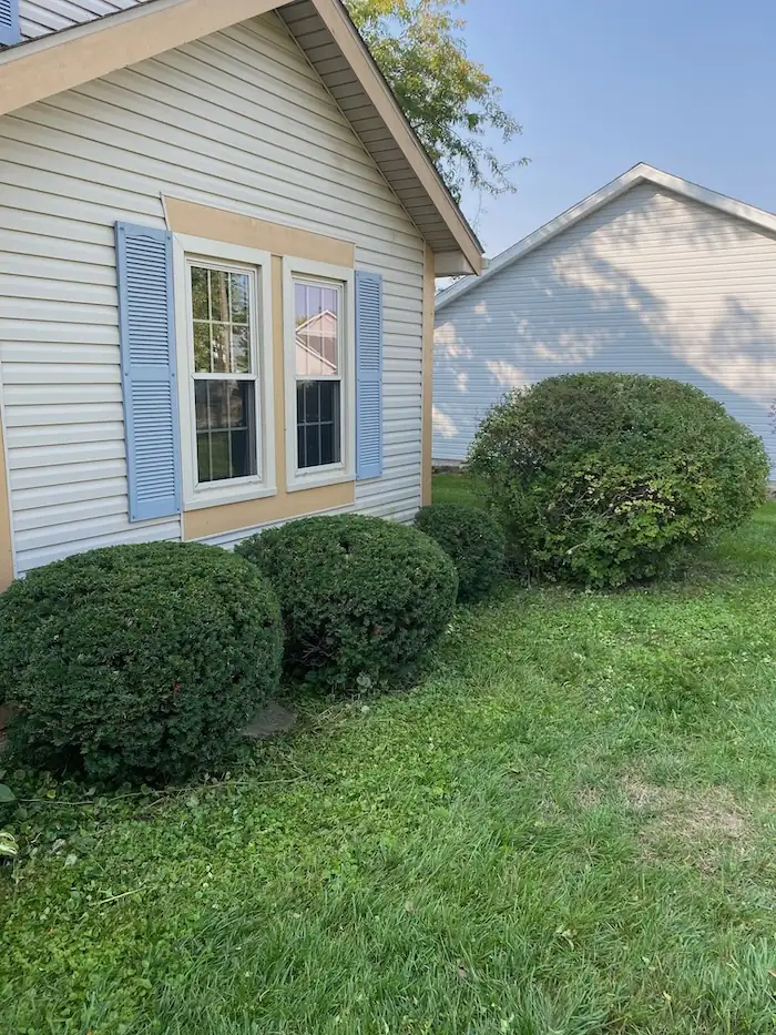 landscaping image