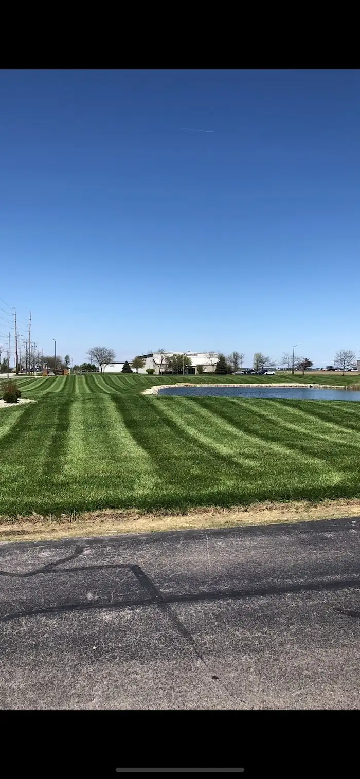 landscaping image