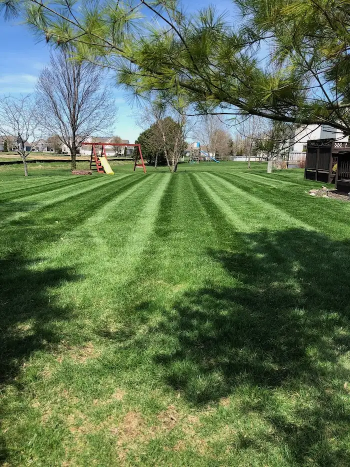 landscaping image