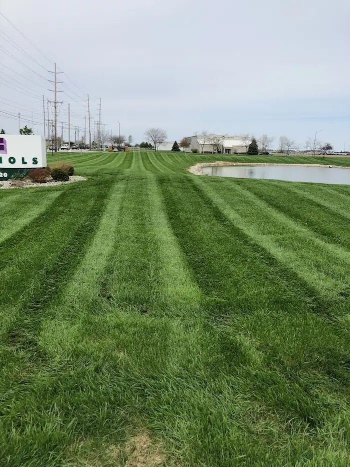 landscaping image