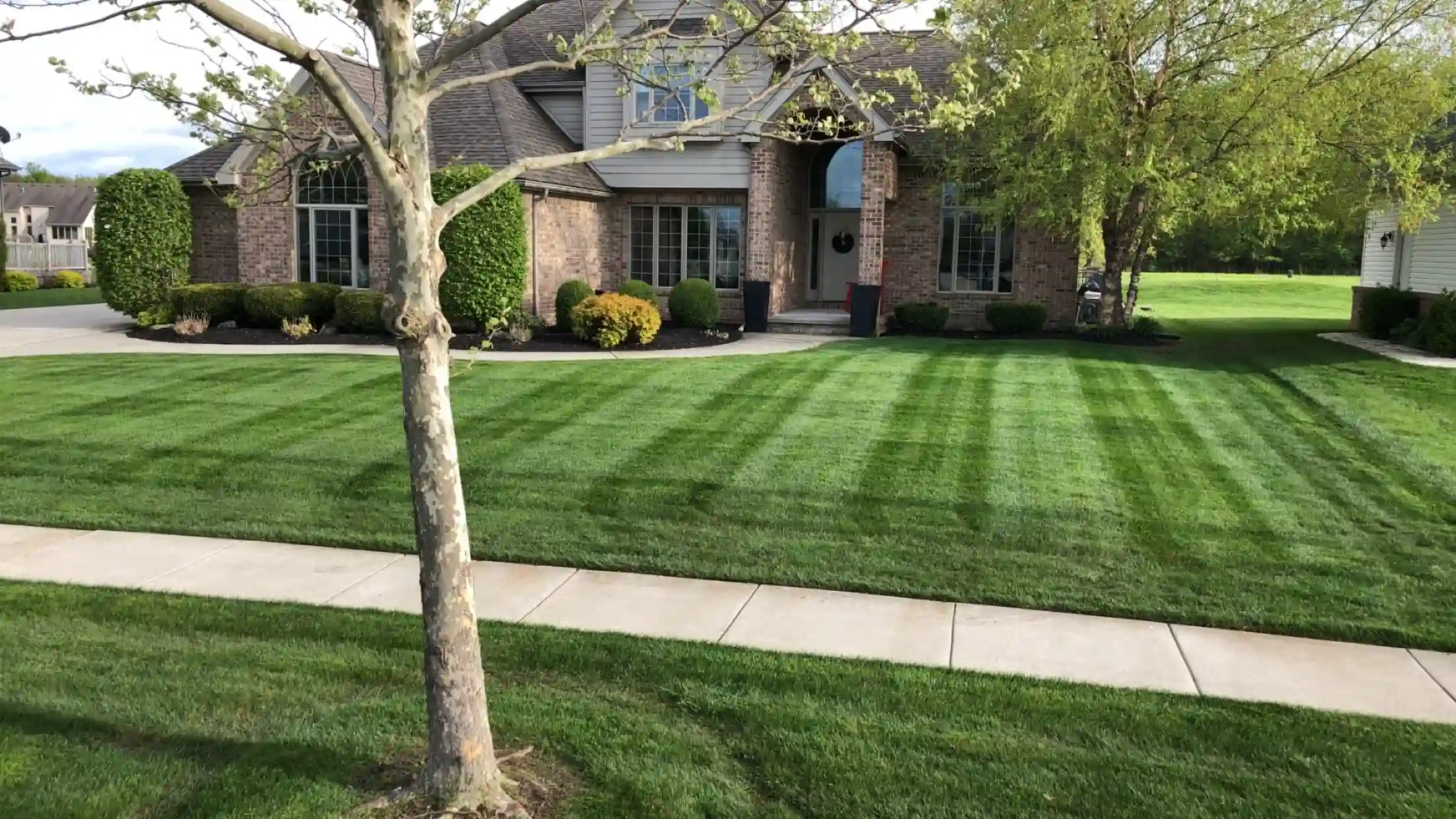 landscaping image