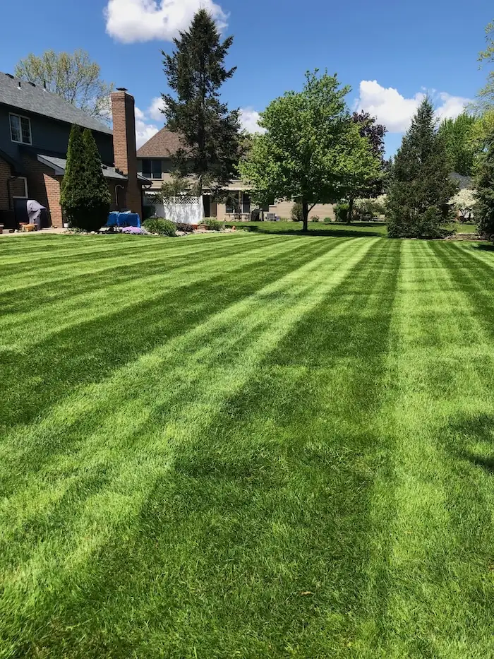 landscaping image