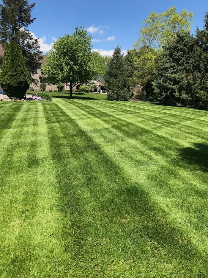 landscaping image