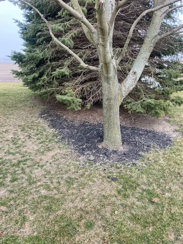 landscaping image