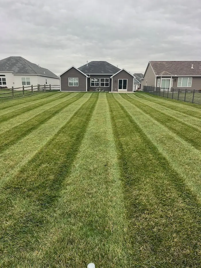 landscaping image