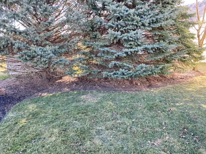 landscaping image