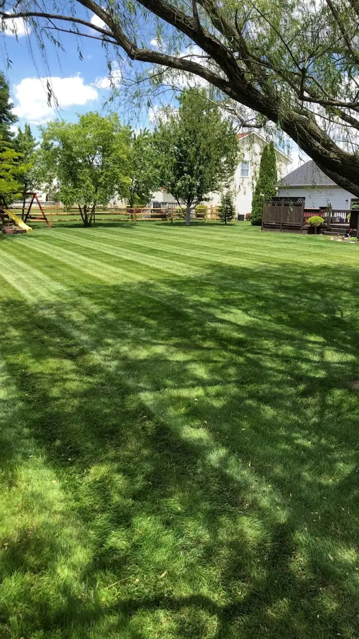 landscaping image