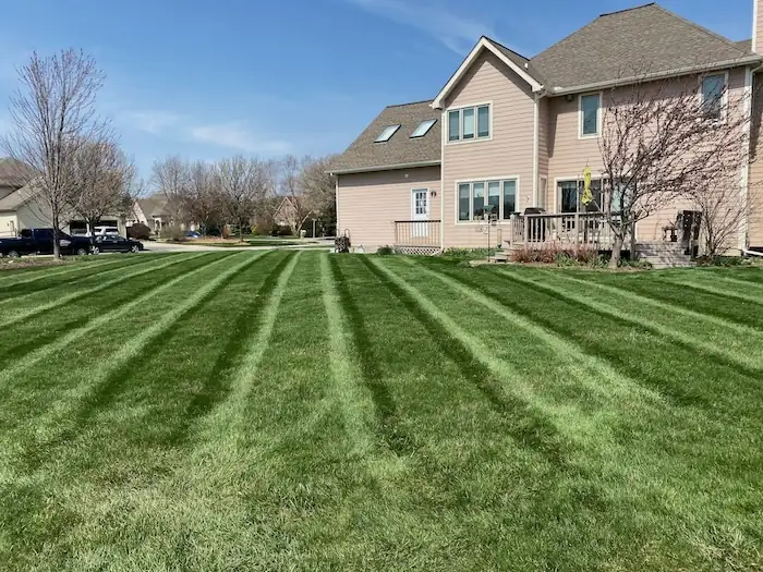 landscaping image