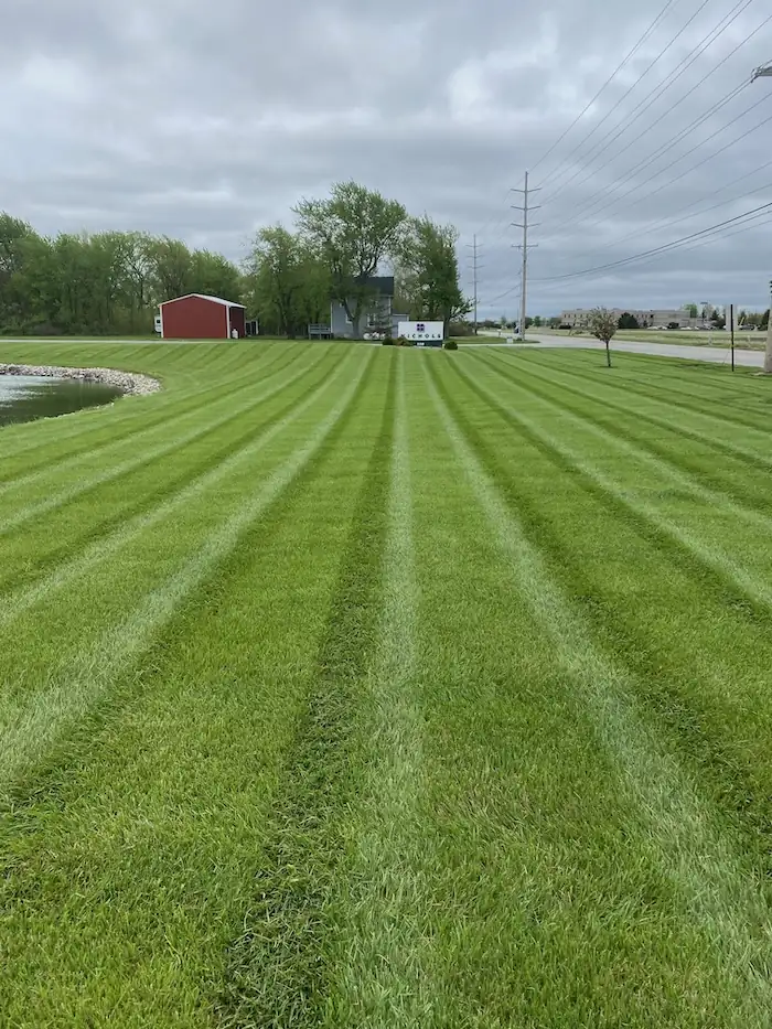 landscaping image