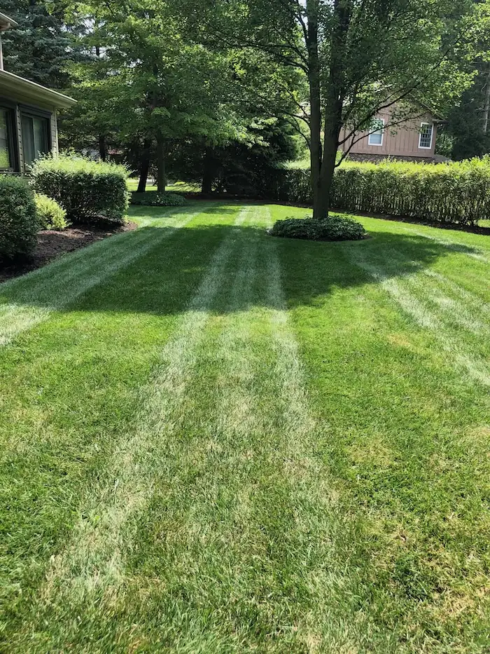 landscaping image