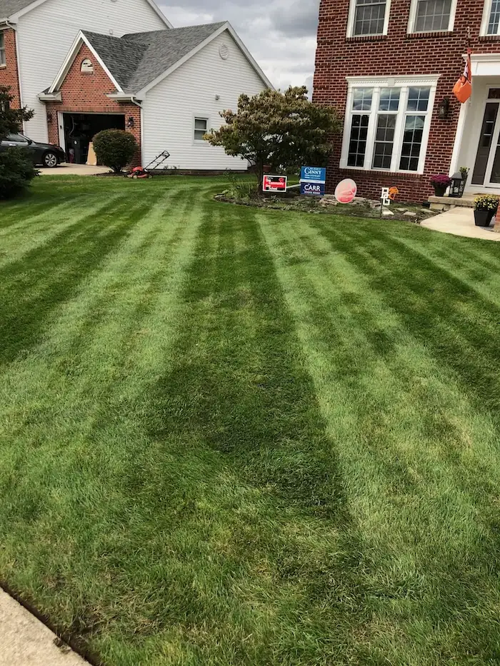landscaping image