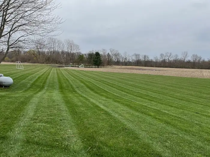 landscaping image