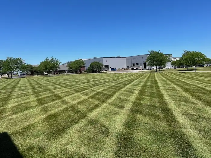 landscaping image