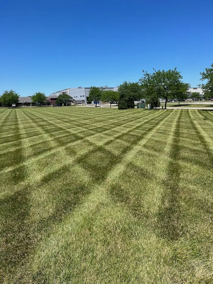 landscaping image