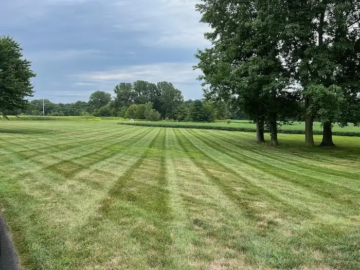 landscaping image