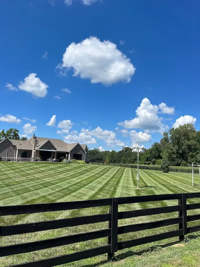 landscaping image