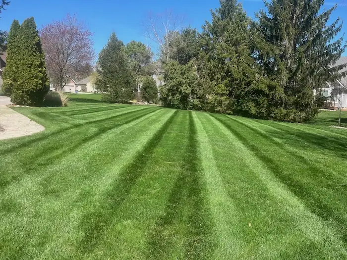 landscaping image