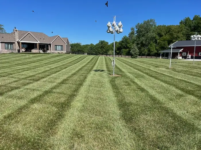 landscaping image