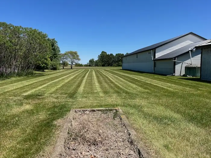 landscaping image