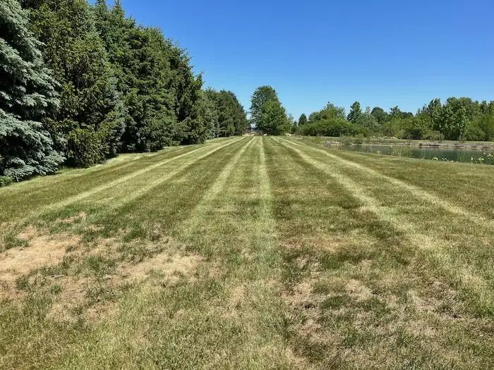 landscaping image