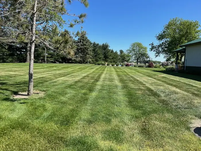 landscaping image