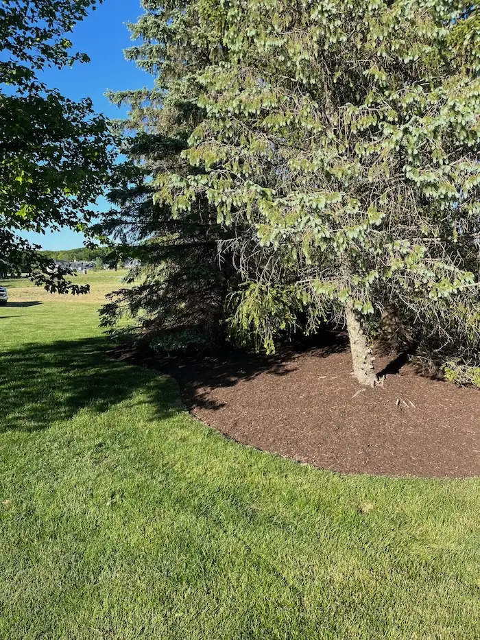 landscaping image