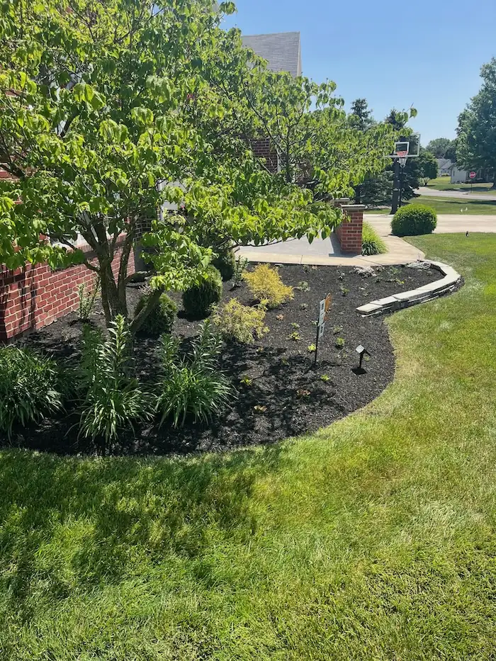 landscaping image