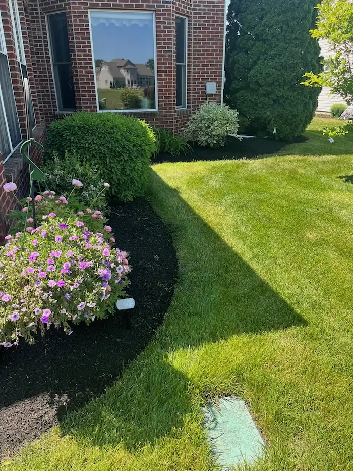landscaping image