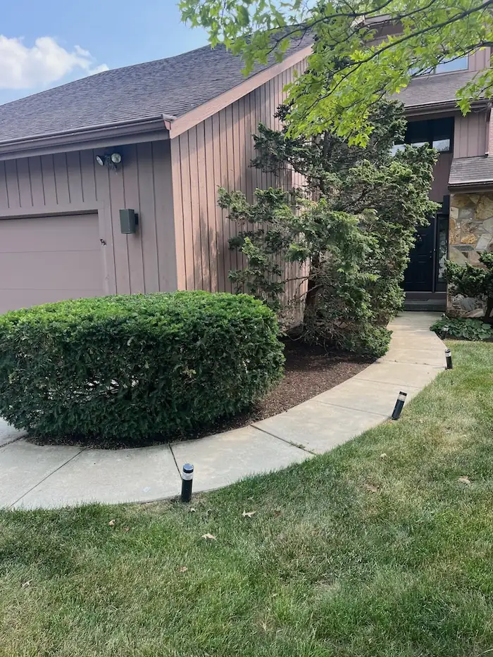 landscaping image