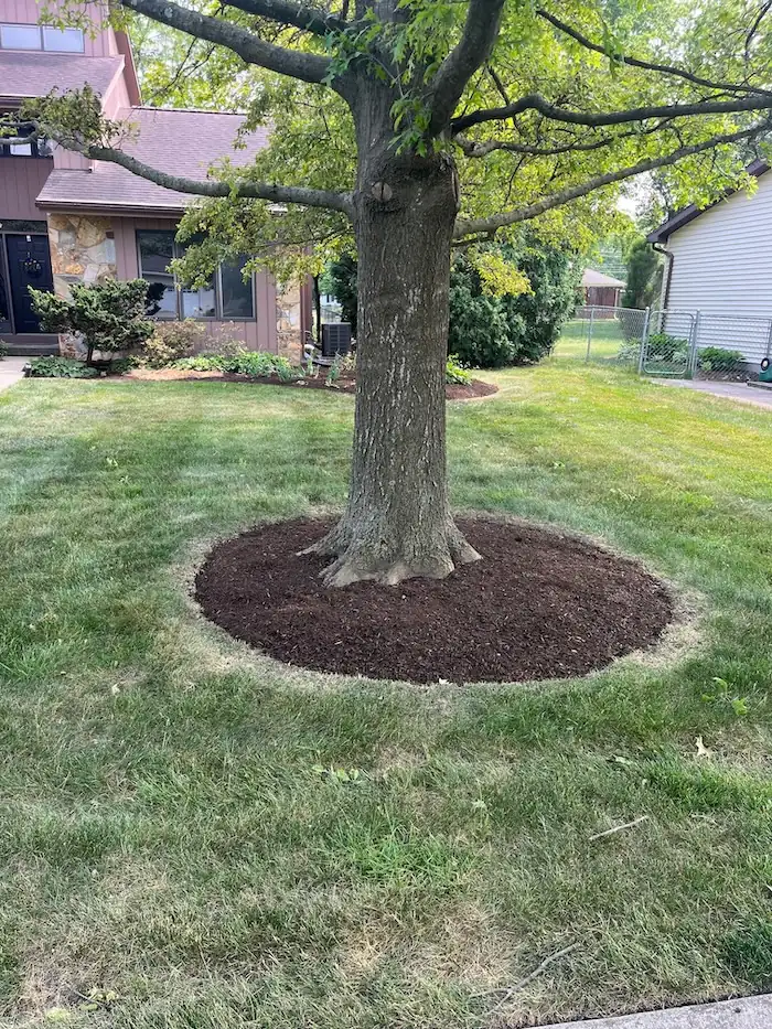 landscaping image