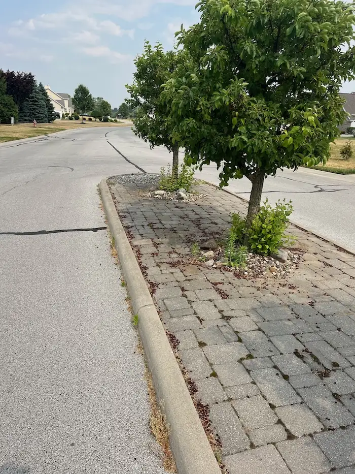 landscaping image