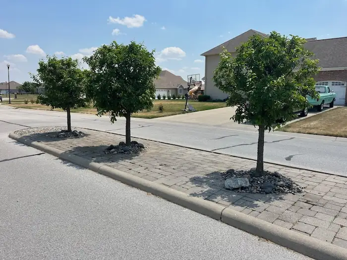 landscaping image